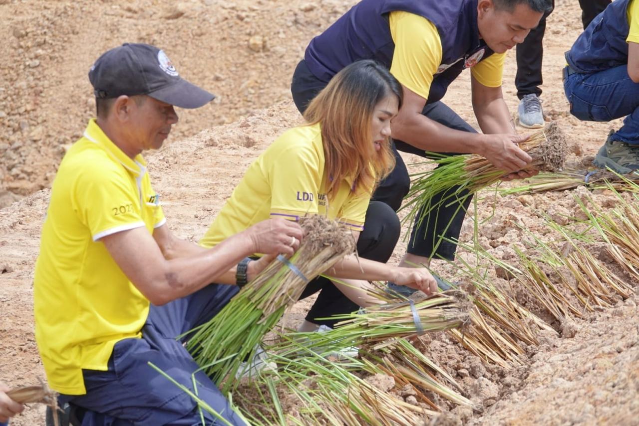 ภาพประกอบที่ 9