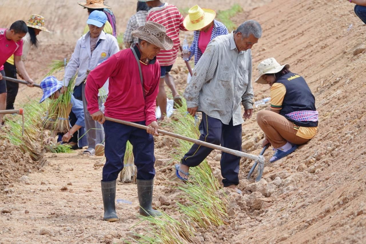 ภาพประกอบที่ 8