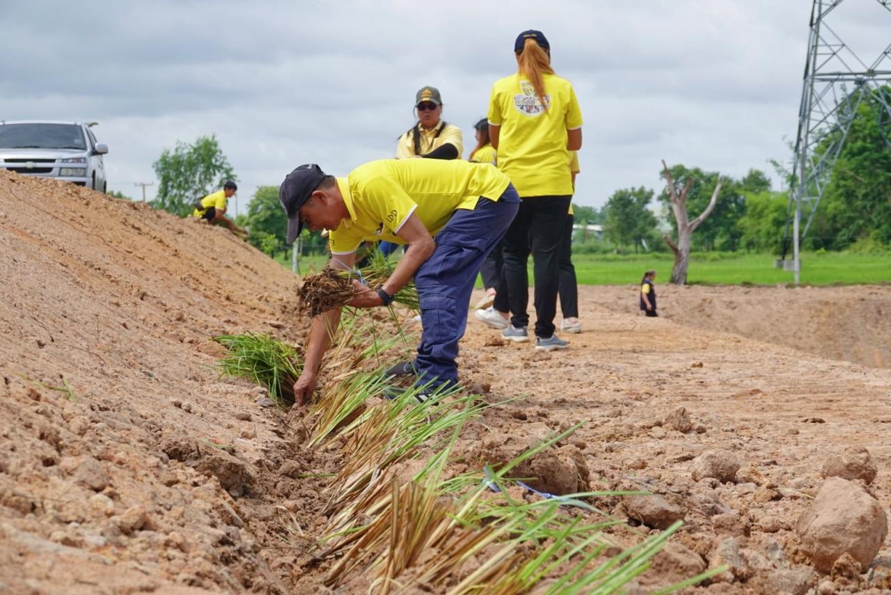 ภาพประกอบที่ 6