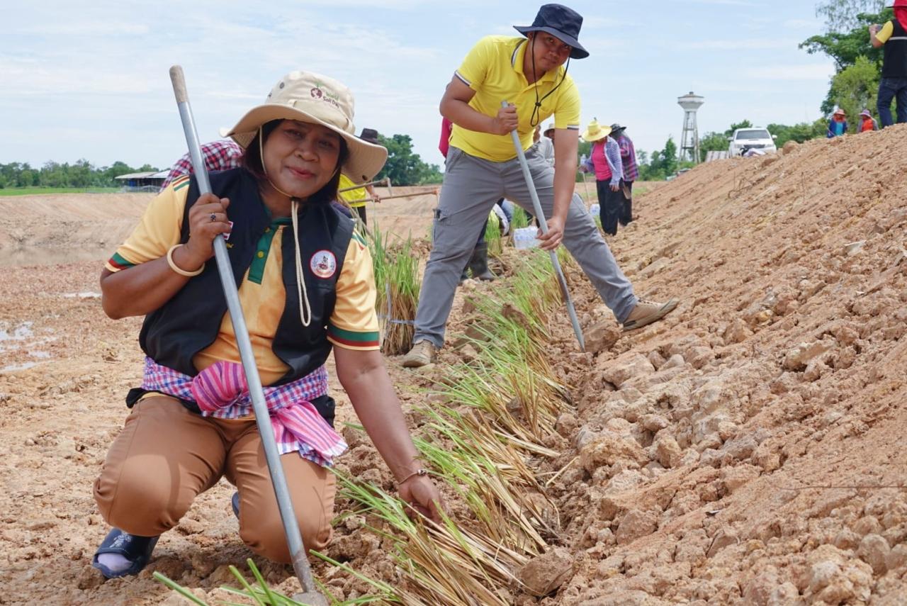 ภาพประกอบที่ 5