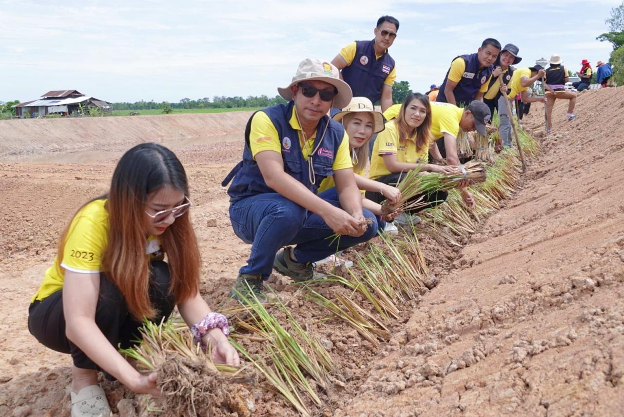 ภาพประกอบที่ 2