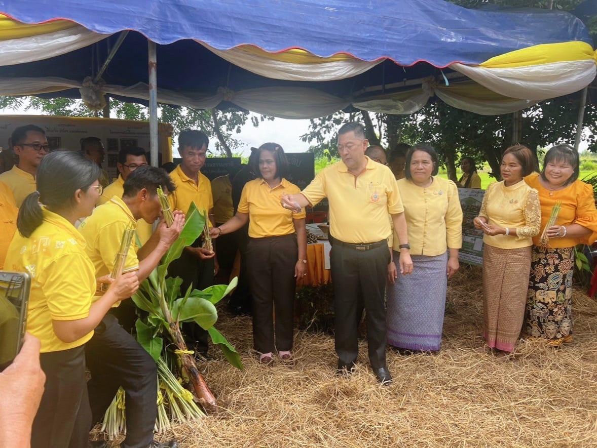 ภาพประกอบที่ 5