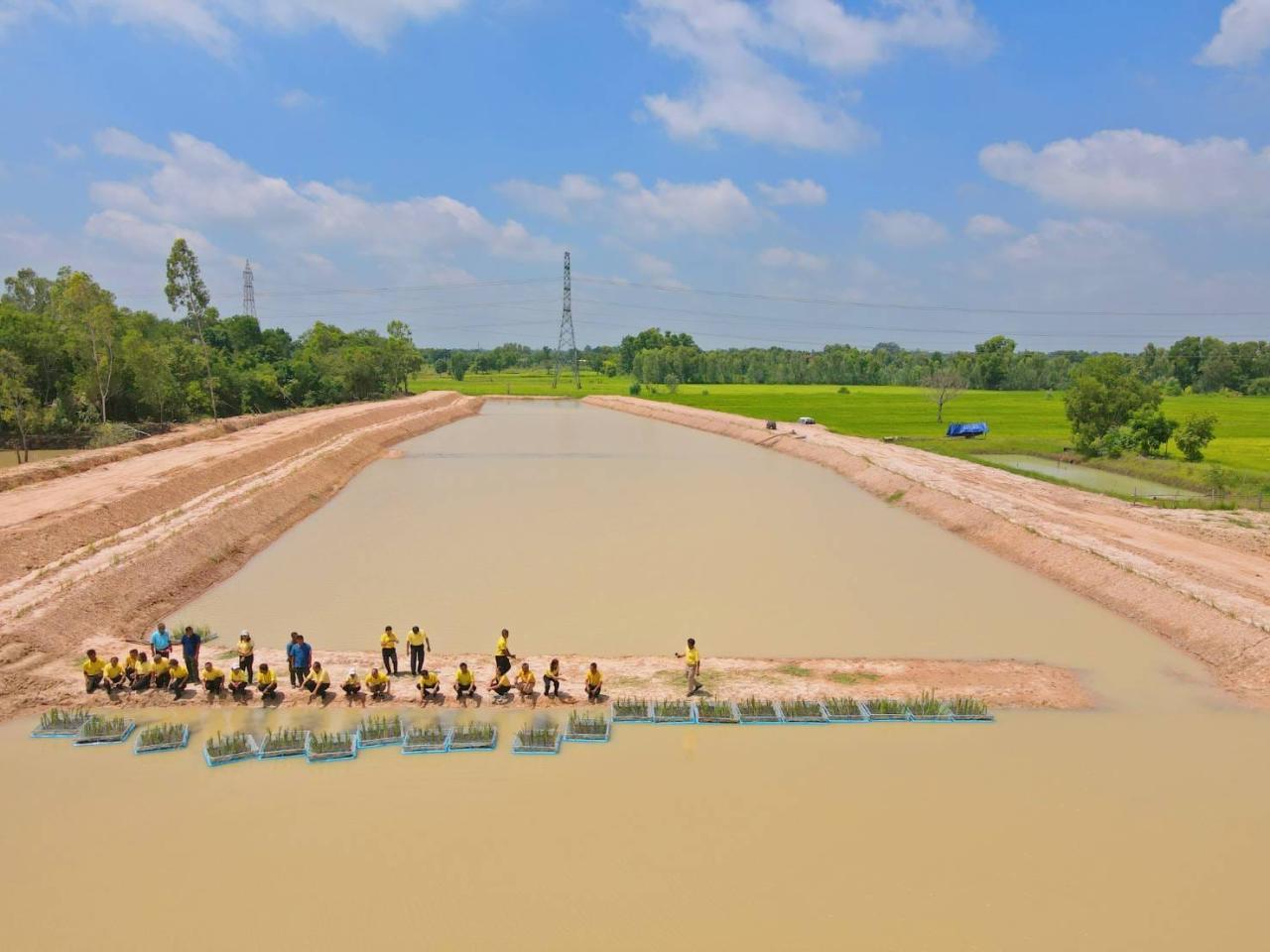 ภาพประกอบที่ 8