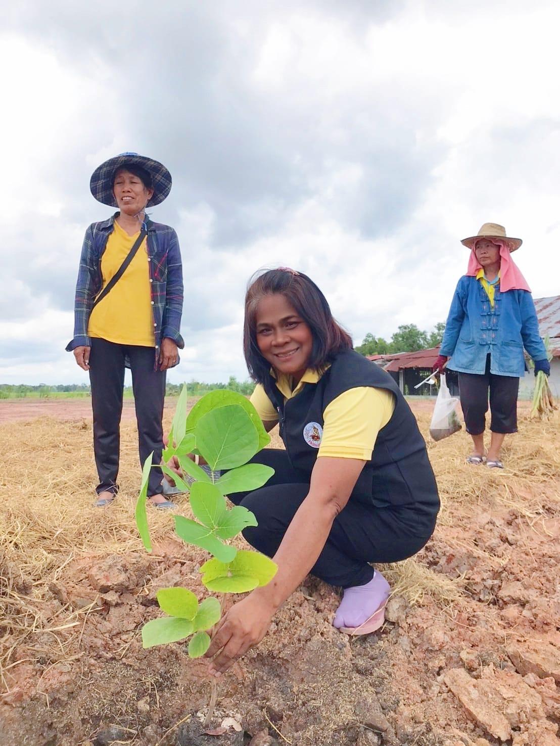 ภาพประกอบที่ 4