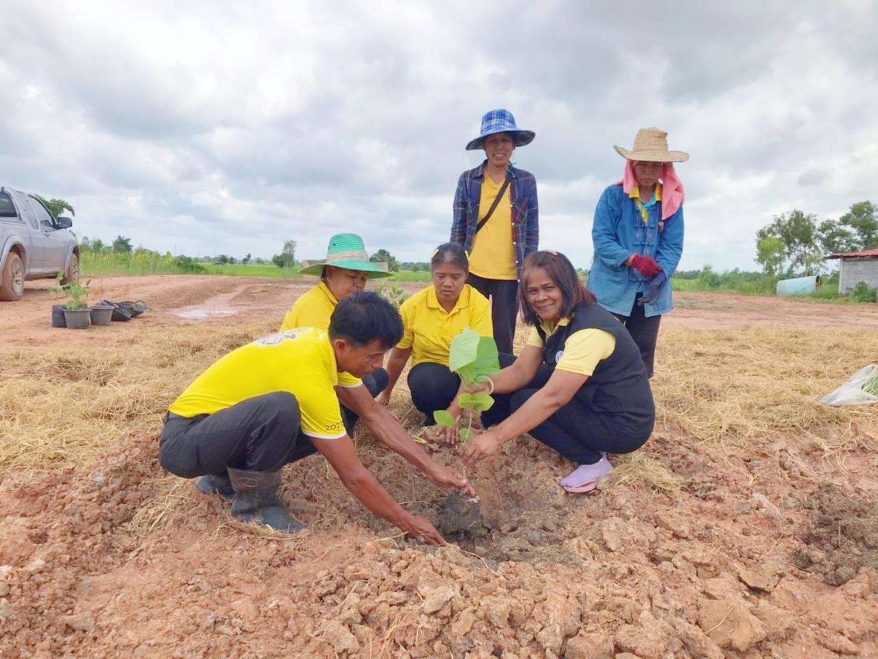 ภาพประกอบที่ 3