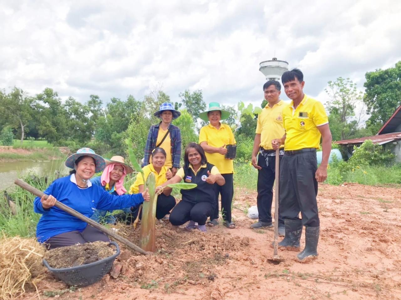 ภาพประกอบที่ 1