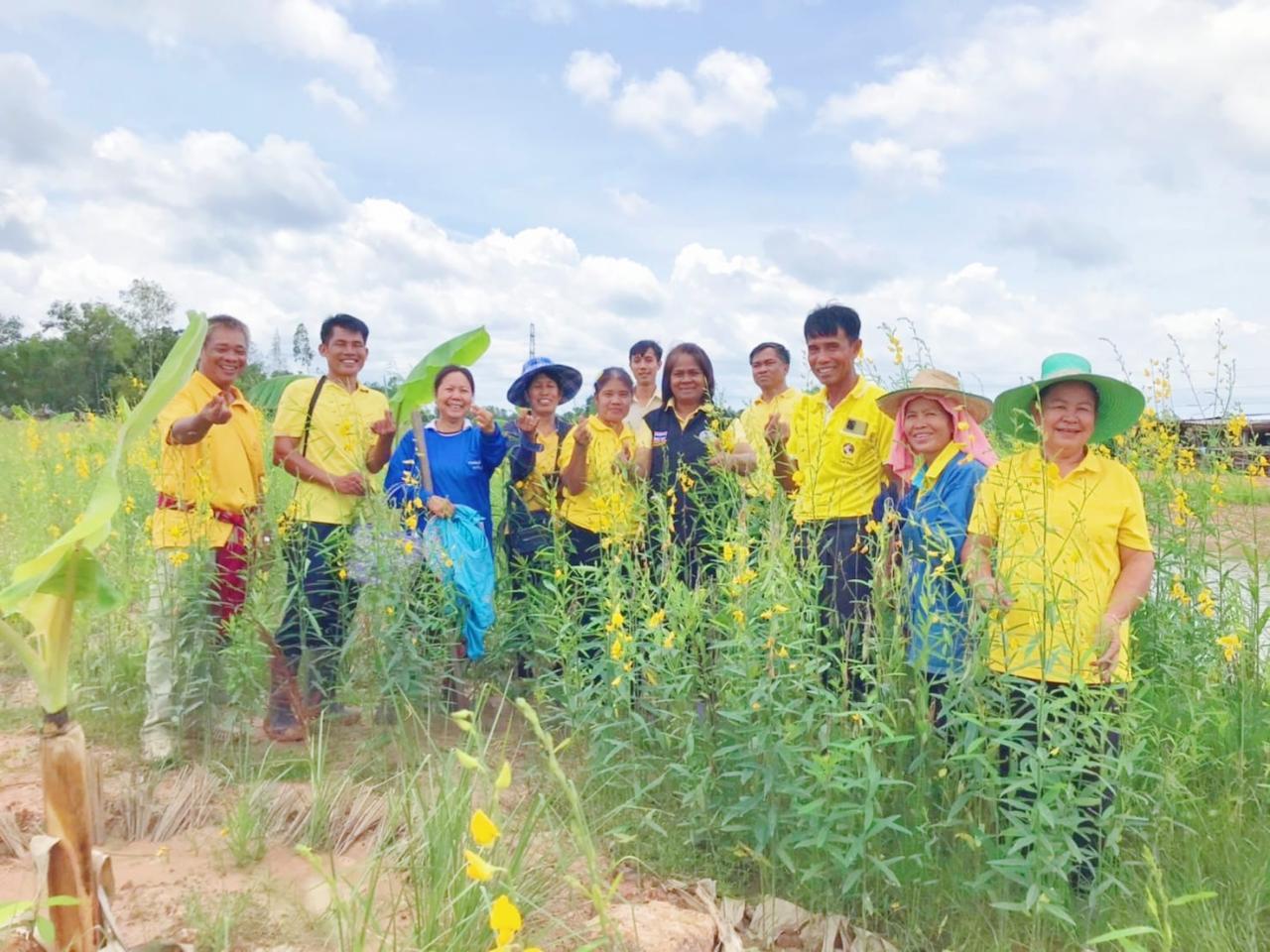 ภาพประกอบที่ 0