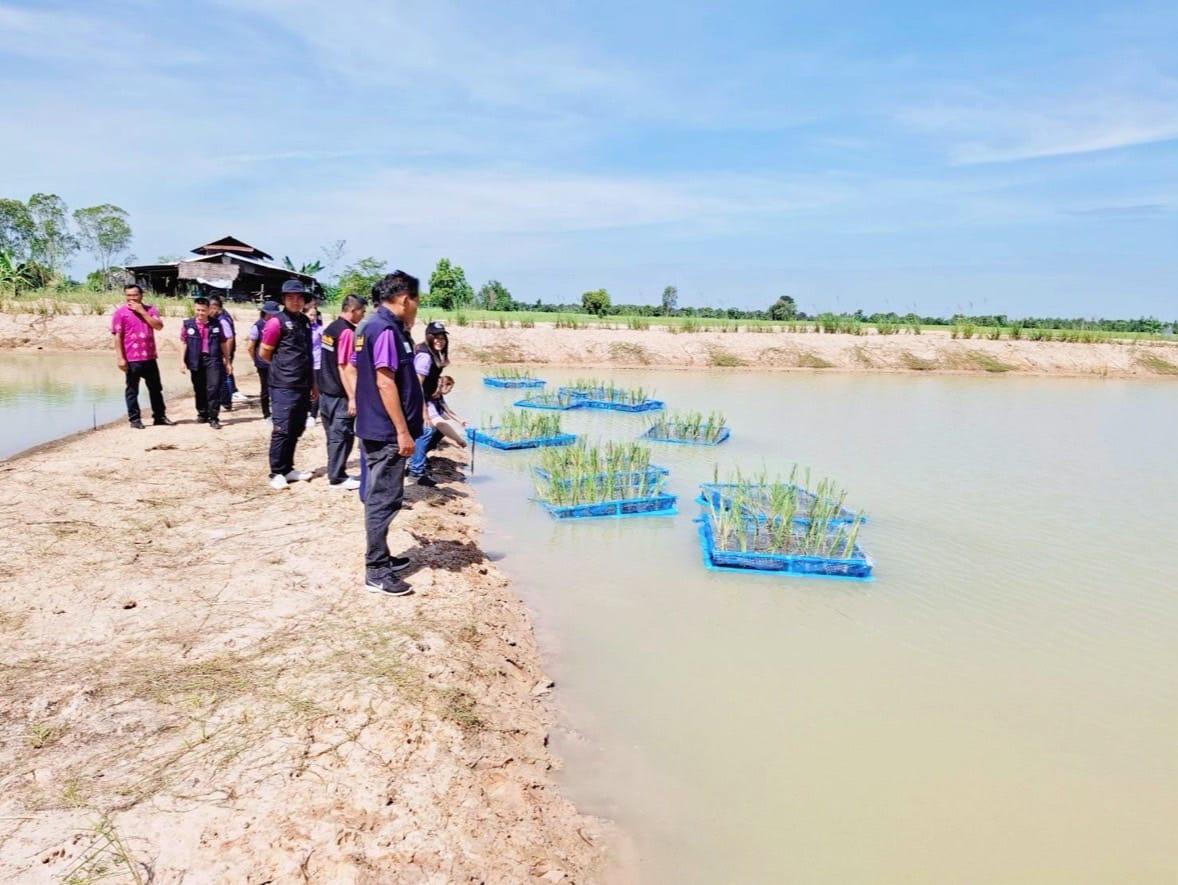 ภาพประกอบที่ 5