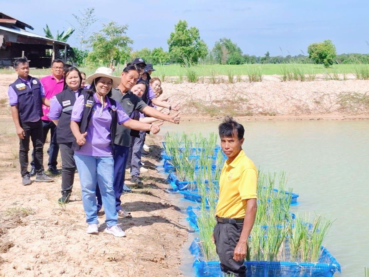 ภาพประกอบที่ 3