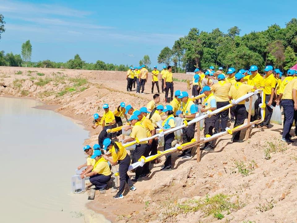 ภาพประกอบที่ 11