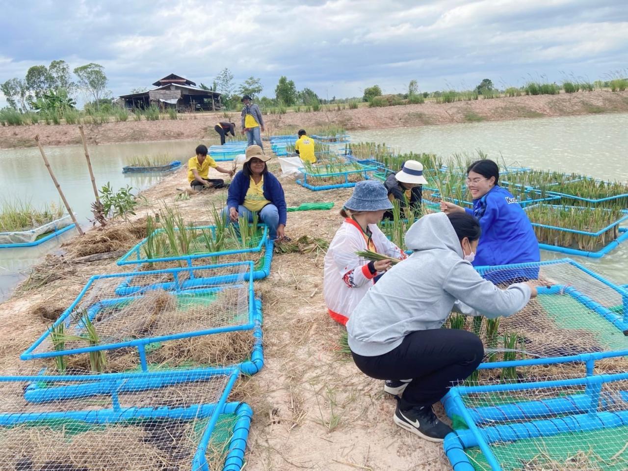 ภาพประกอบที่ 1