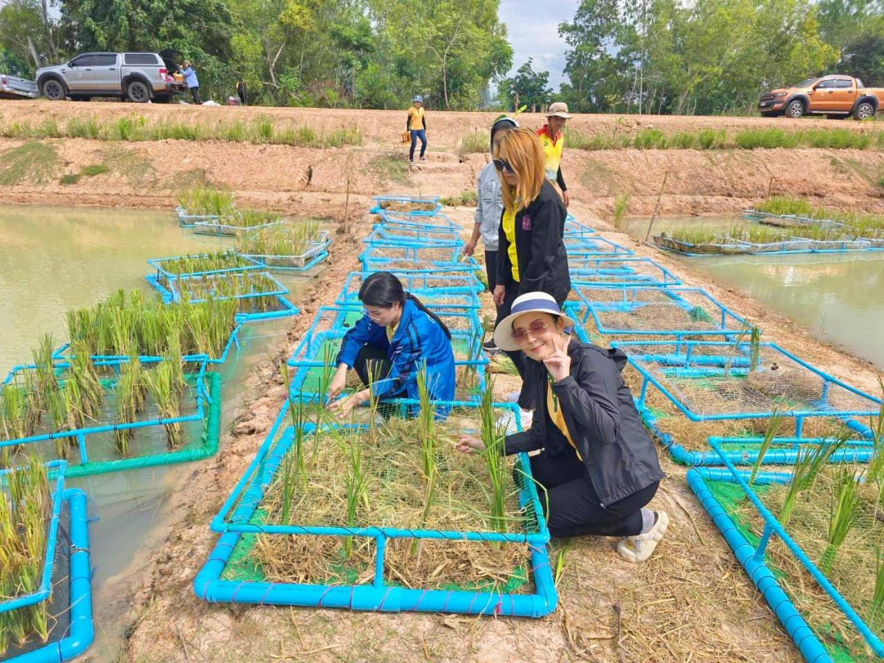 ภาพประกอบที่ 0