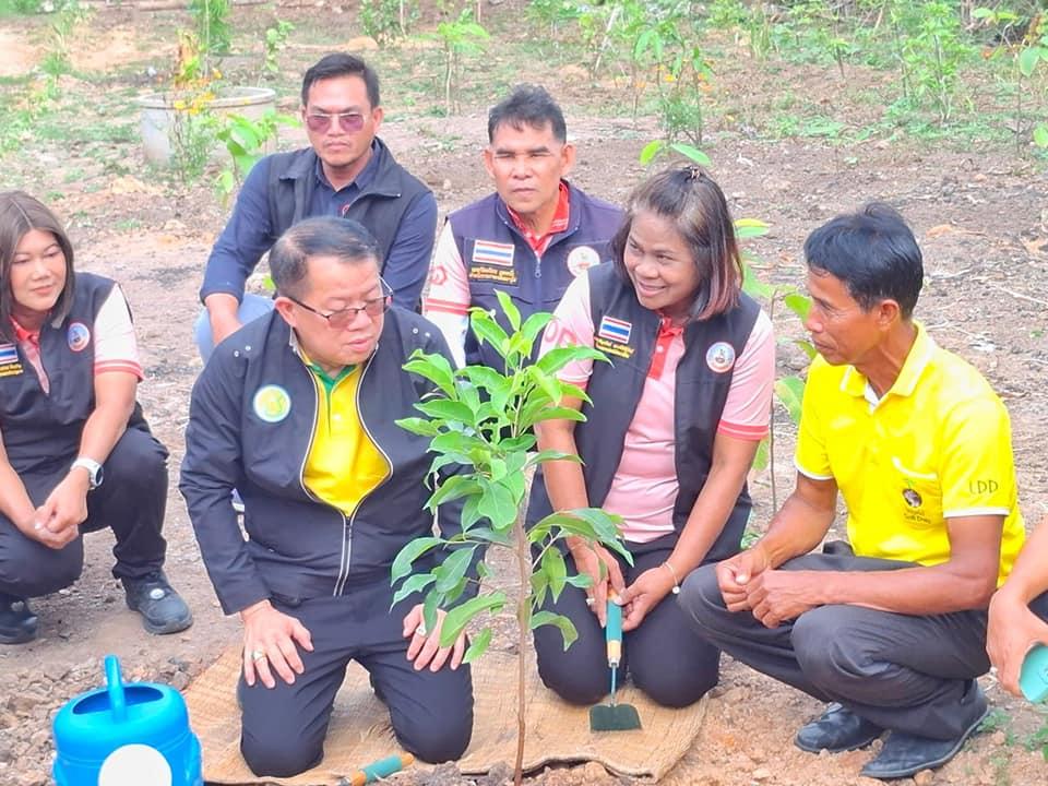 ภาพประกอบที่ 2