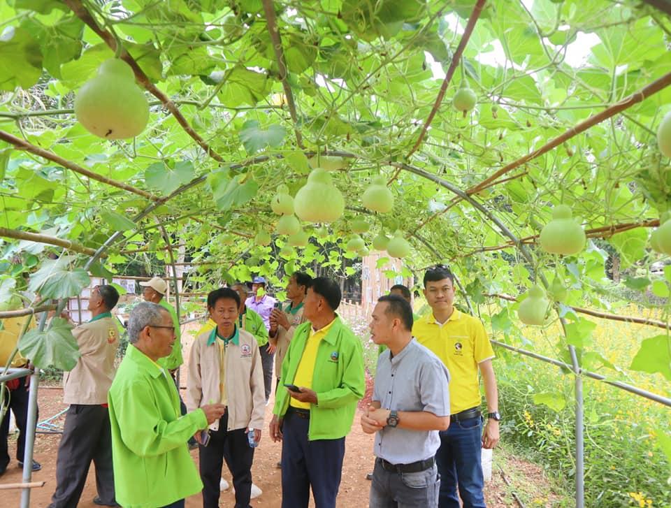 ภาพประกอบที่ 19