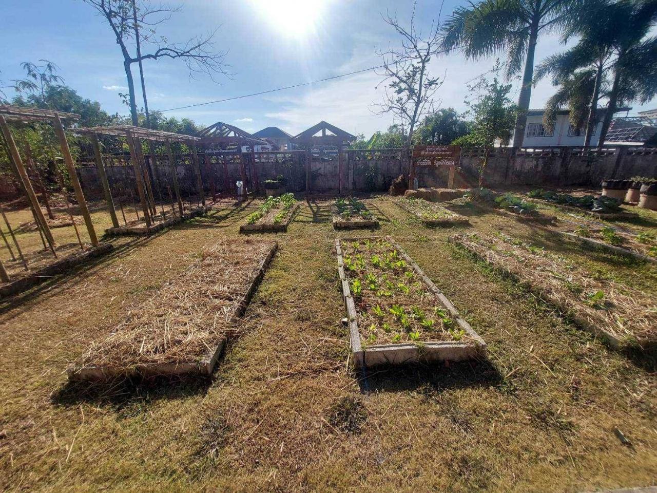 ภาพประกอบที่ 11