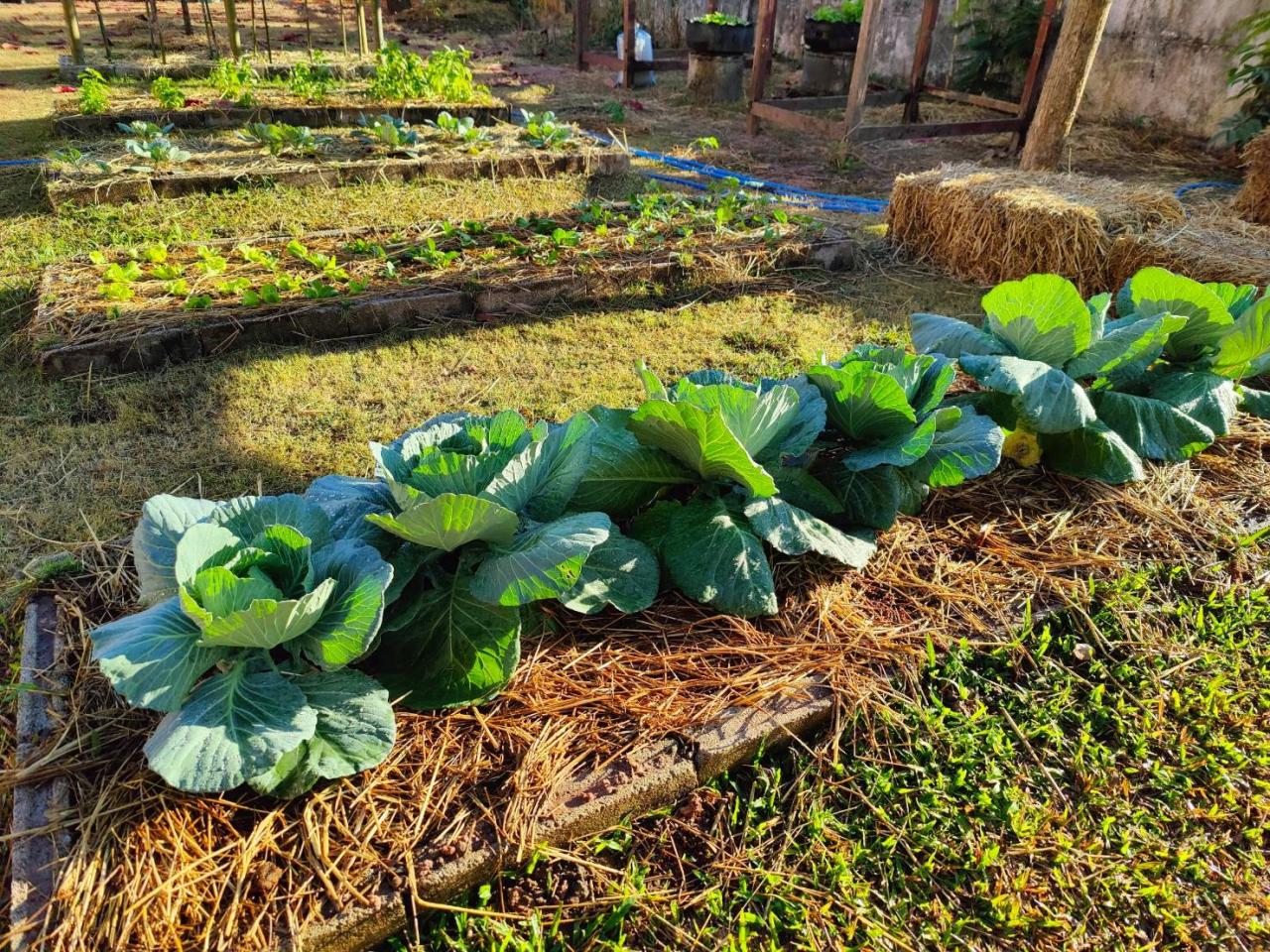 ภาพประกอบที่ 12