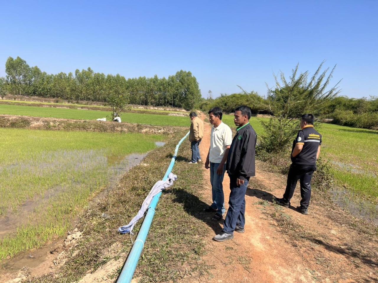 ภาพประกอบที่ 0