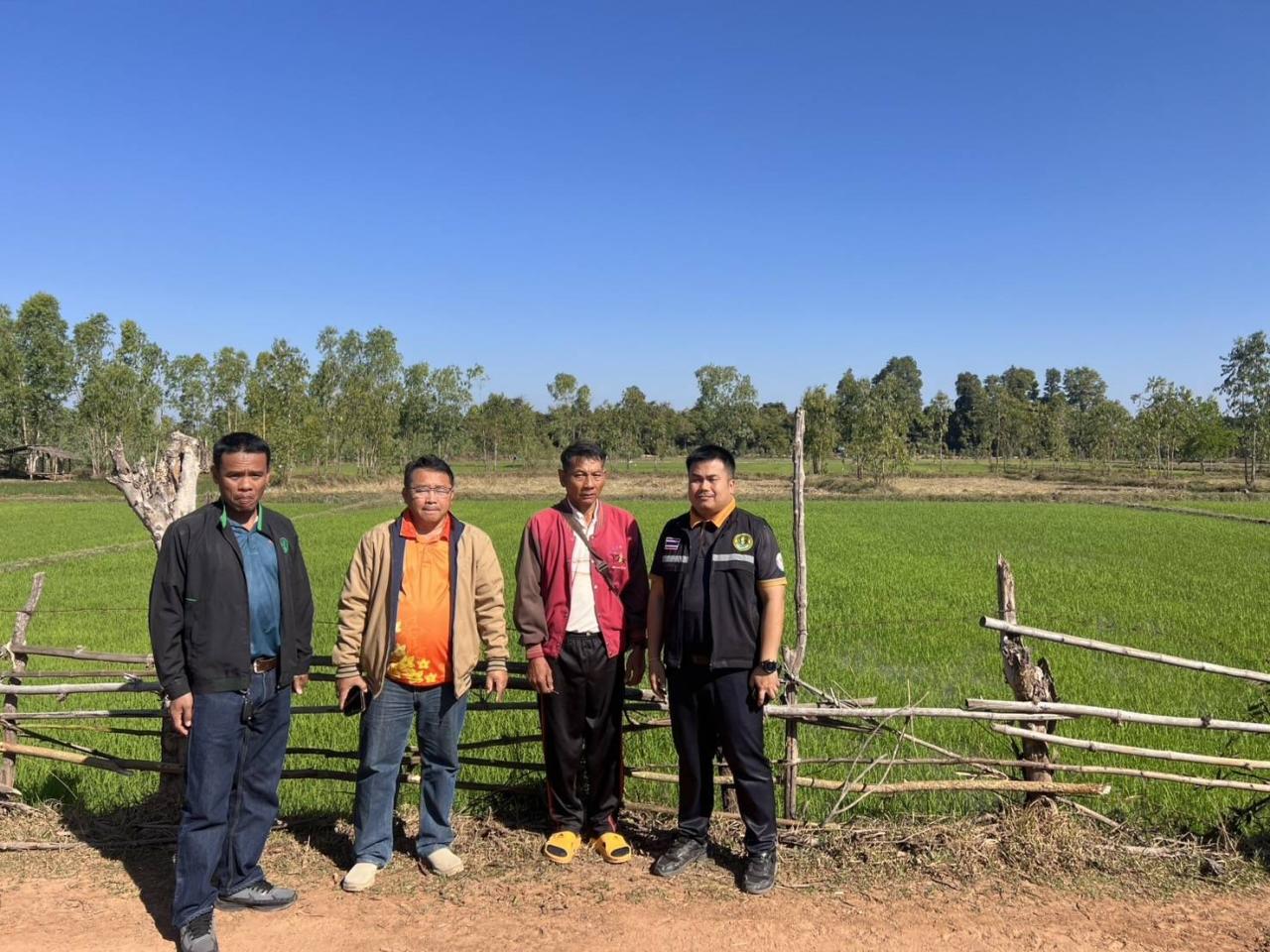 ภาพประกอบที่ 5