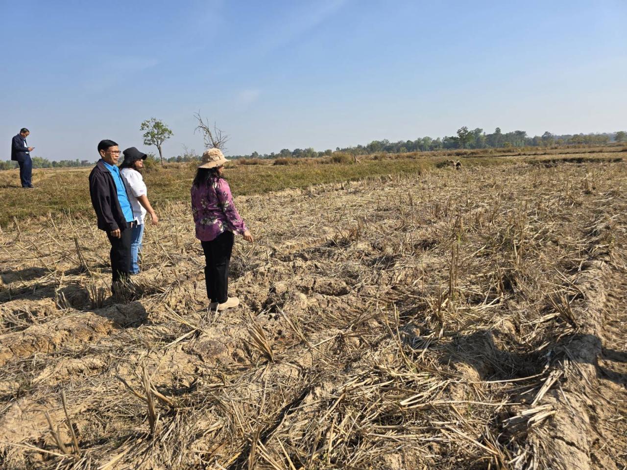 ภาพประกอบที่ 14