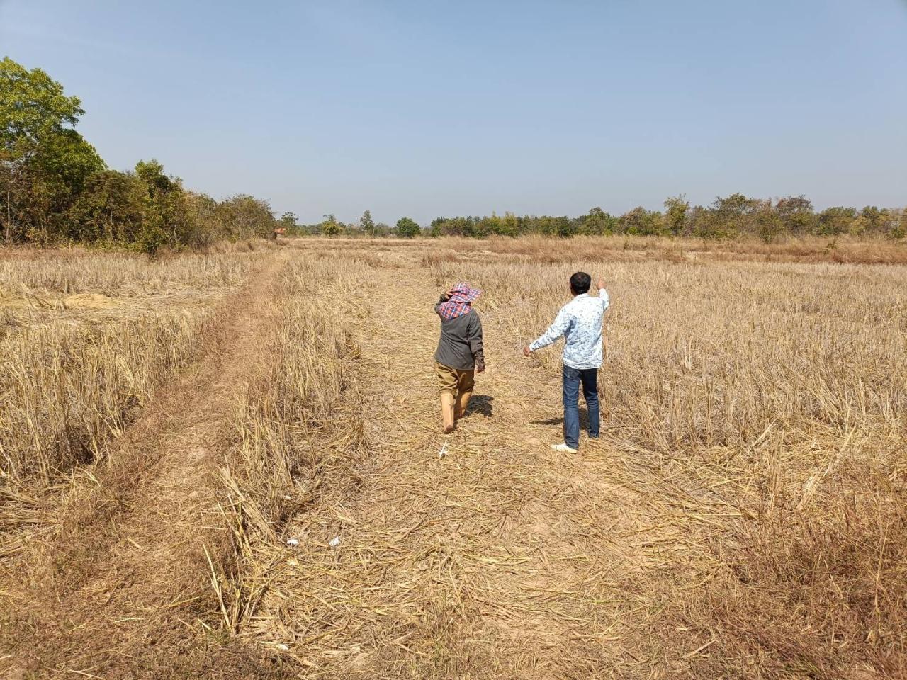 ภาพประกอบที่ 15