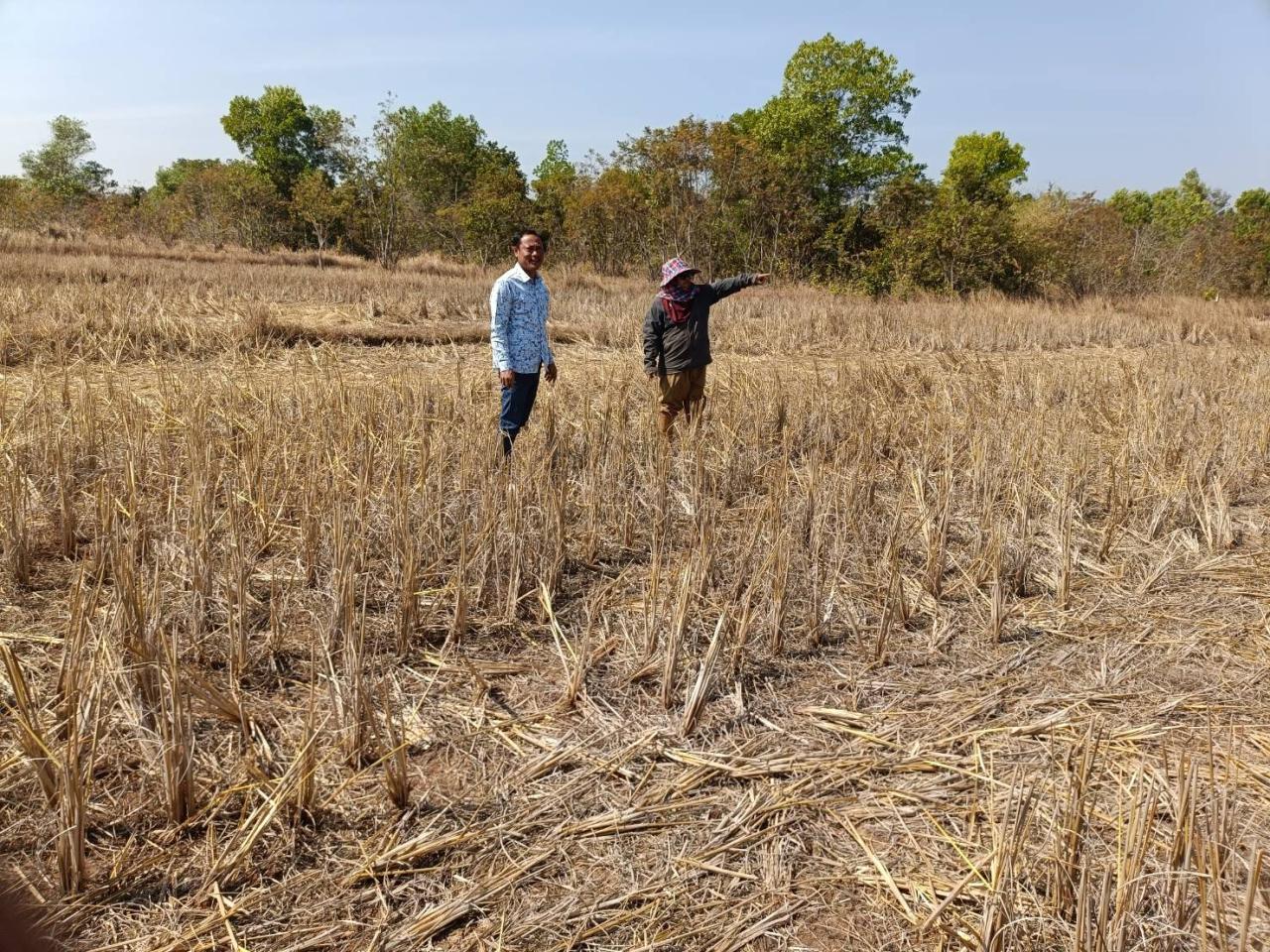 ภาพประกอบที่ 16