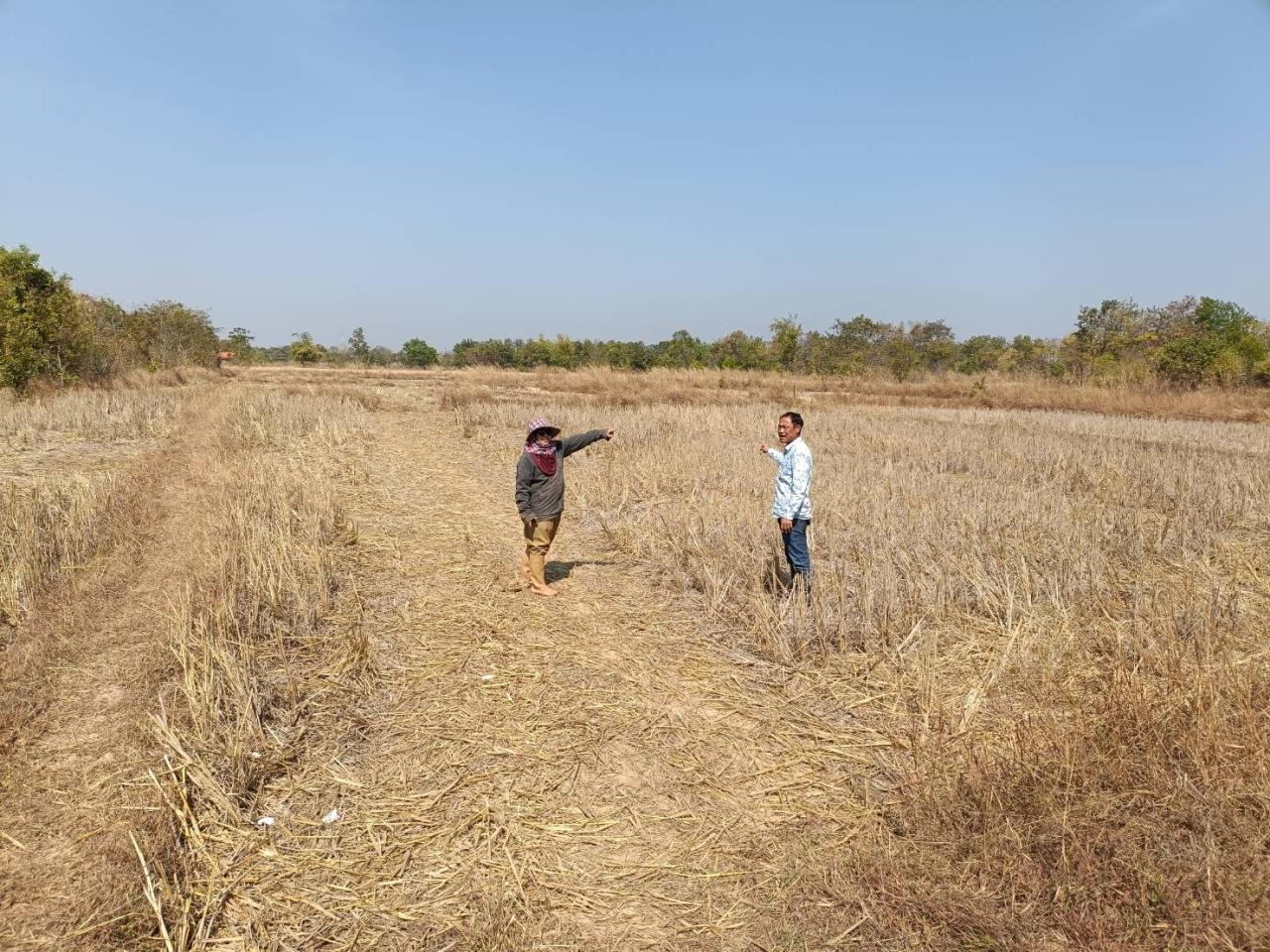 ภาพประกอบที่ 17