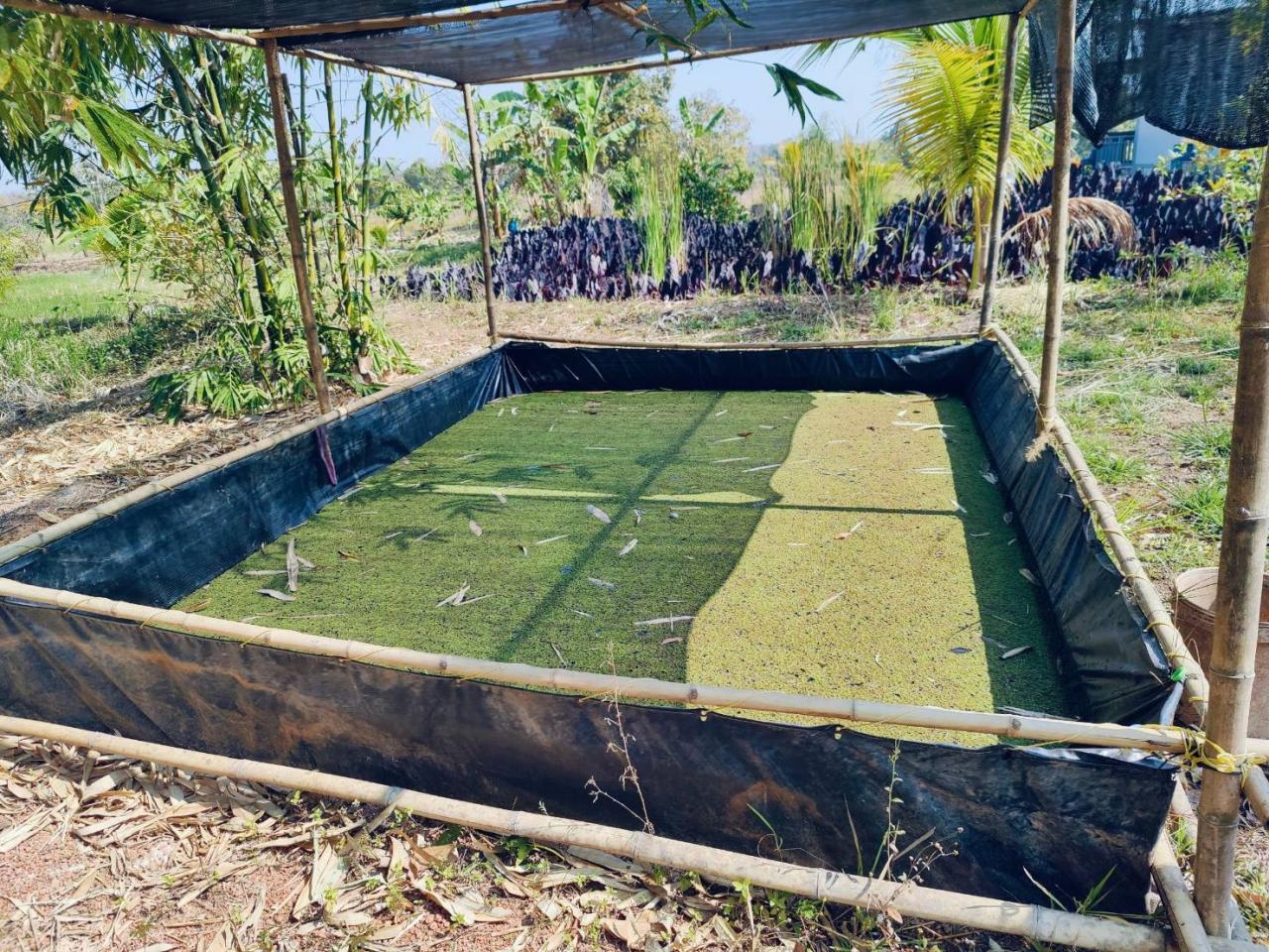 ภาพประกอบที่ 6