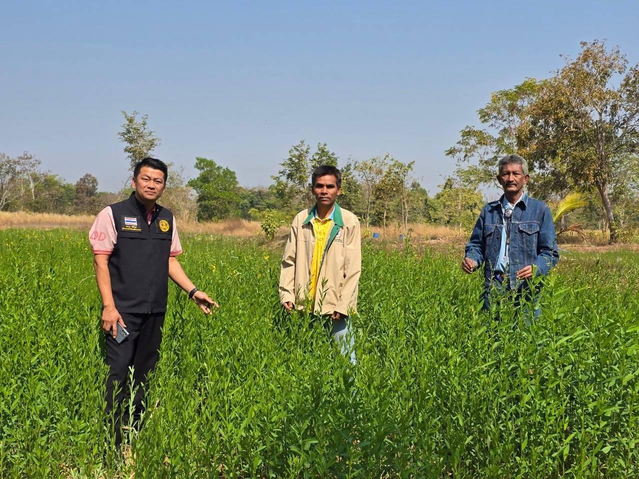 ภาพประกอบที่ 8