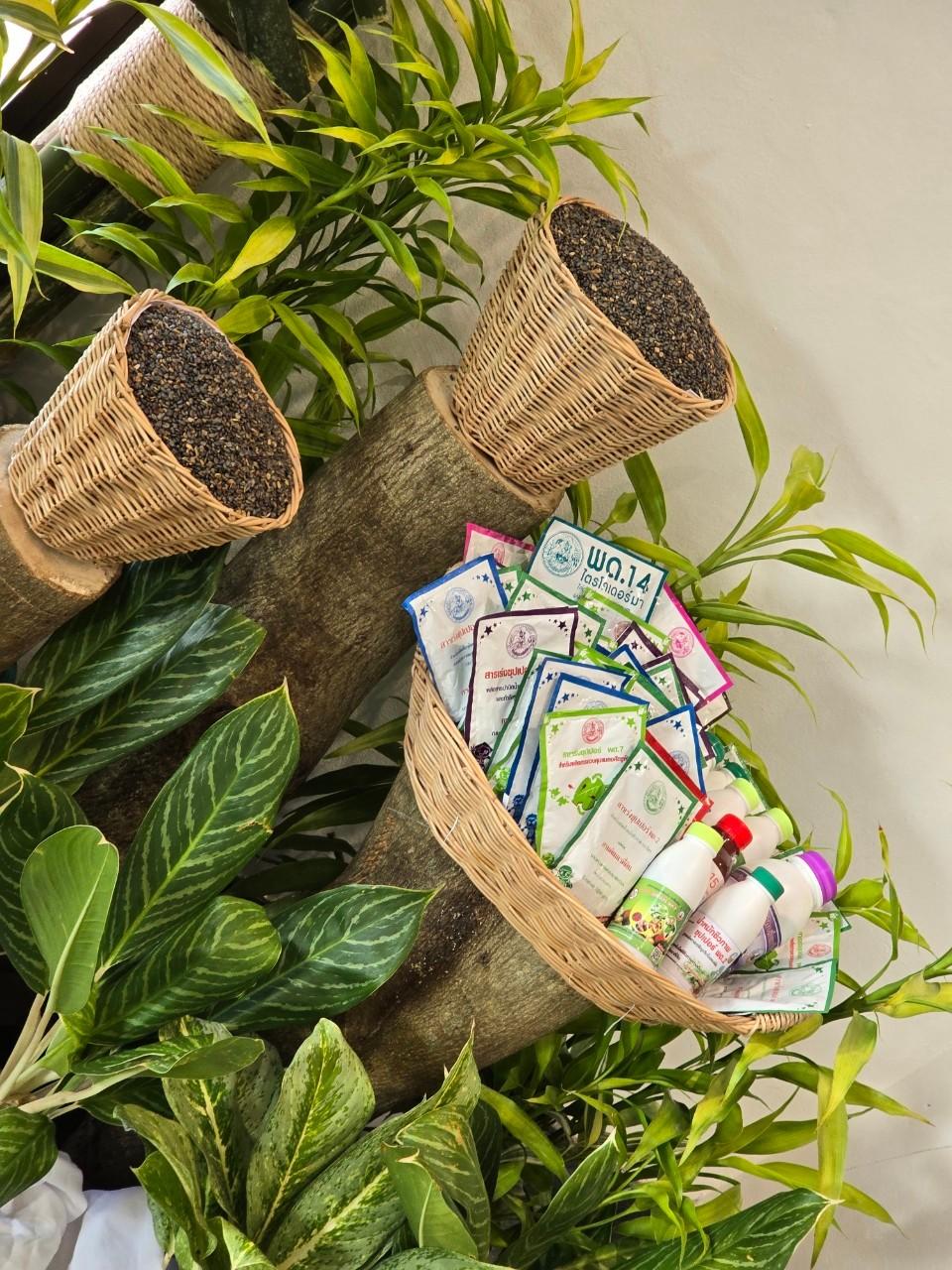 ภาพประกอบที่ 3