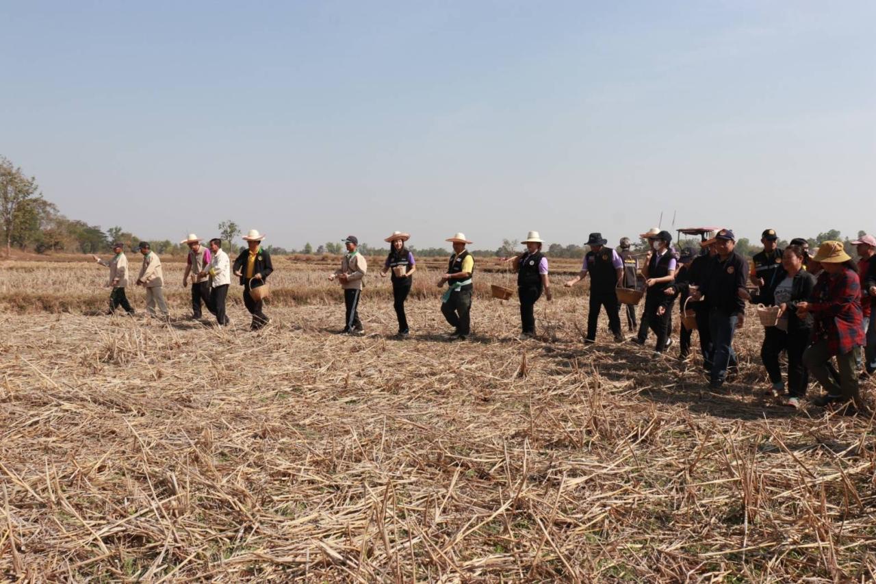 ภาพประกอบที่ 4