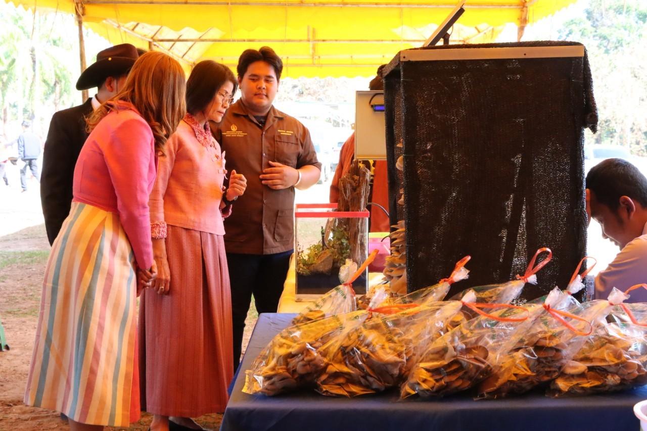 ภาพประกอบที่ 7