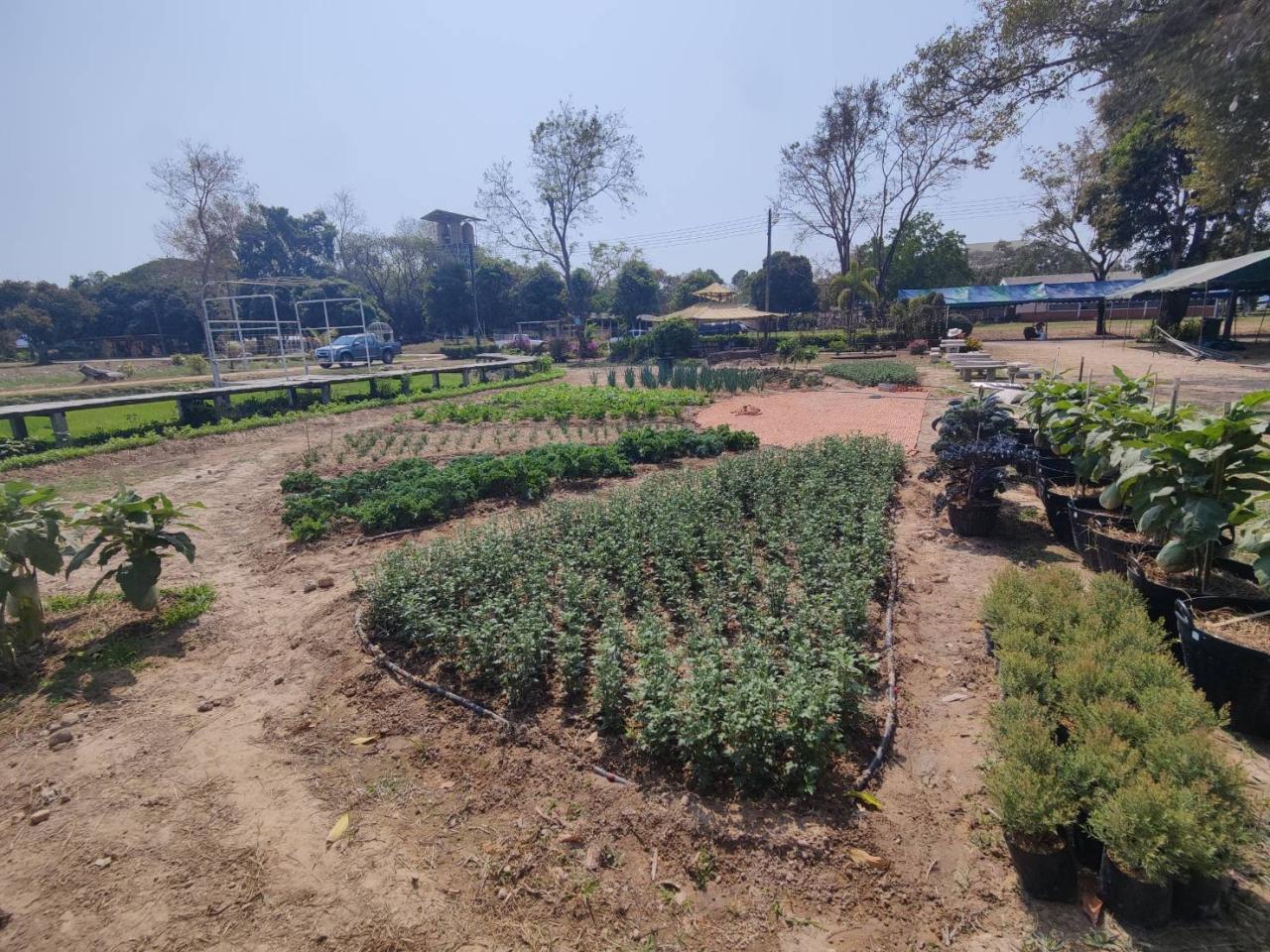 ภาพประกอบที่ 5