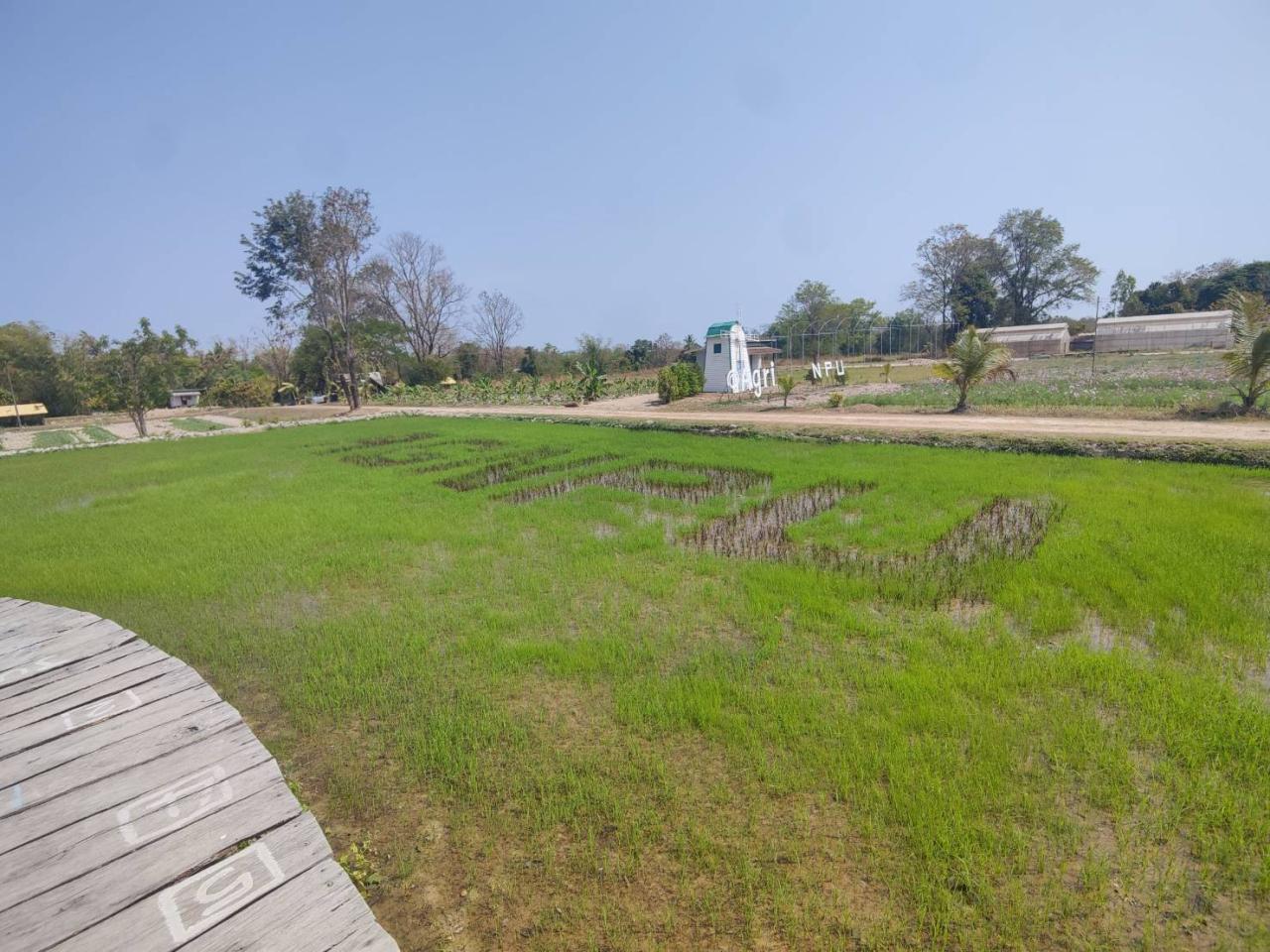 ภาพประกอบที่ 6