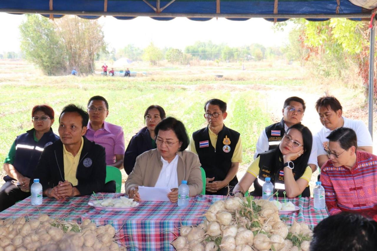 ภาพประกอบที่ 0