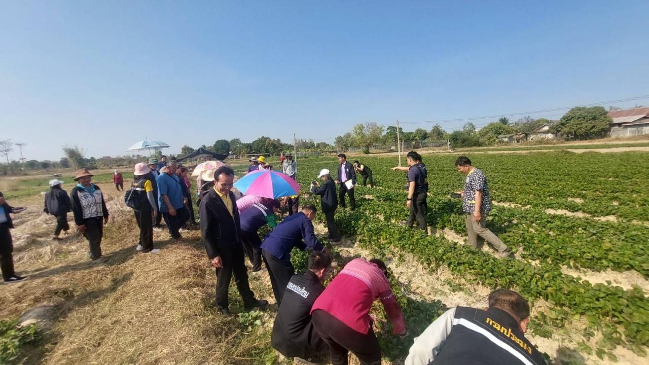 ภาพประกอบที่ 1