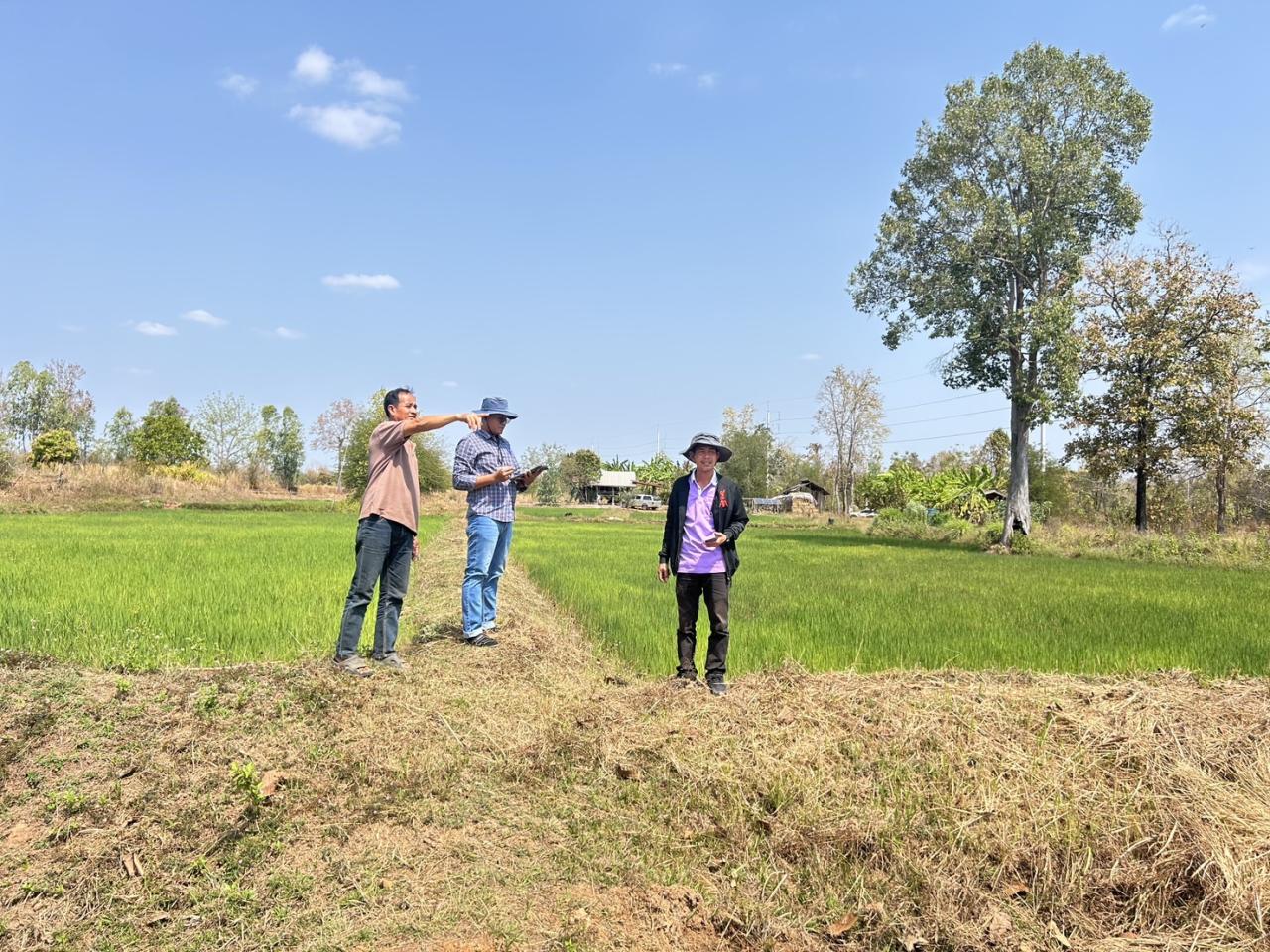 ภาพประกอบที่ 3