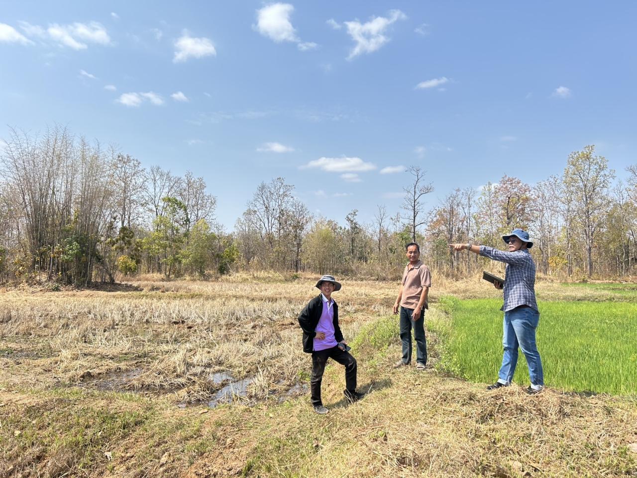 ภาพประกอบที่ 4