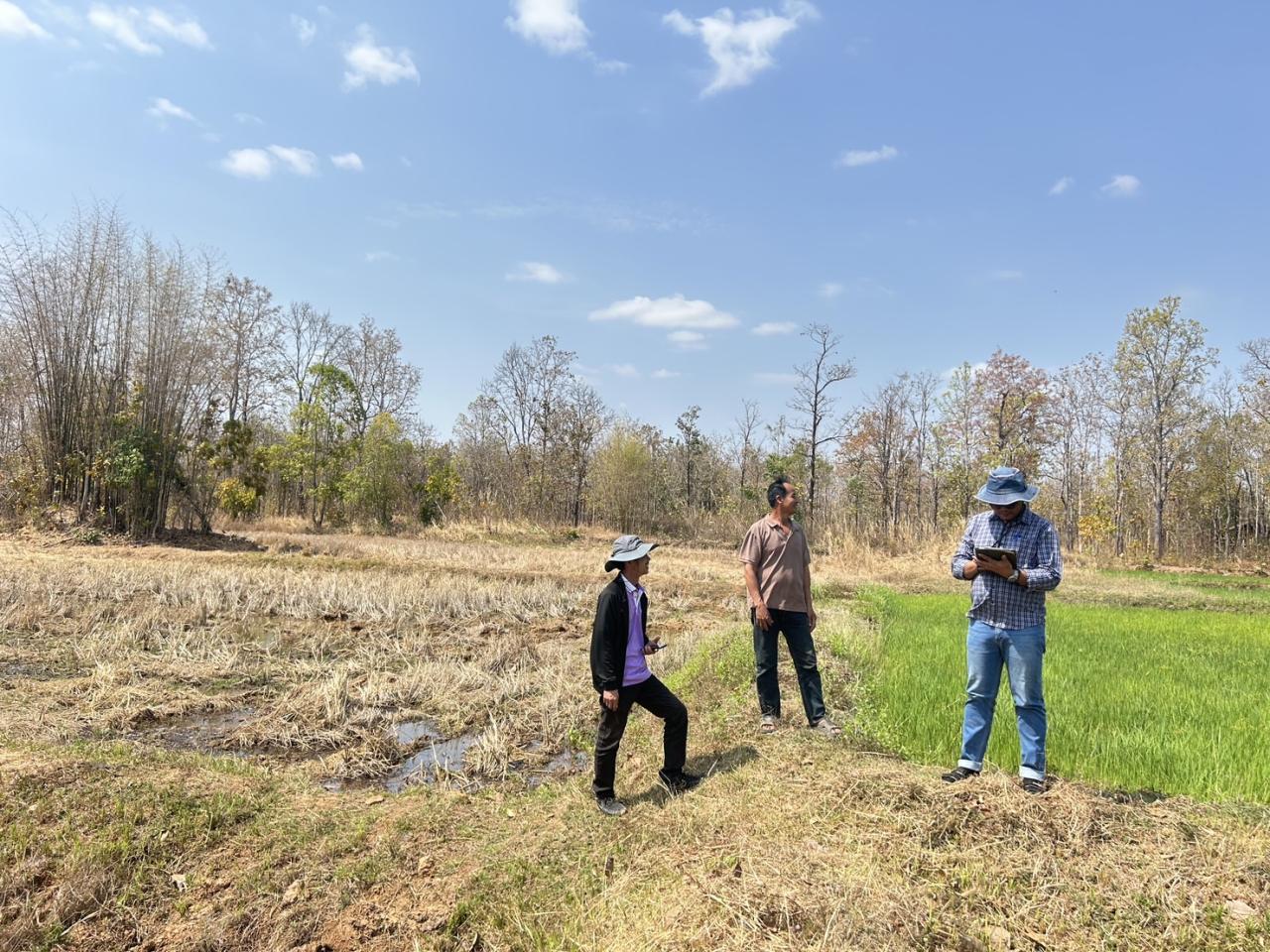 ภาพประกอบที่ 5