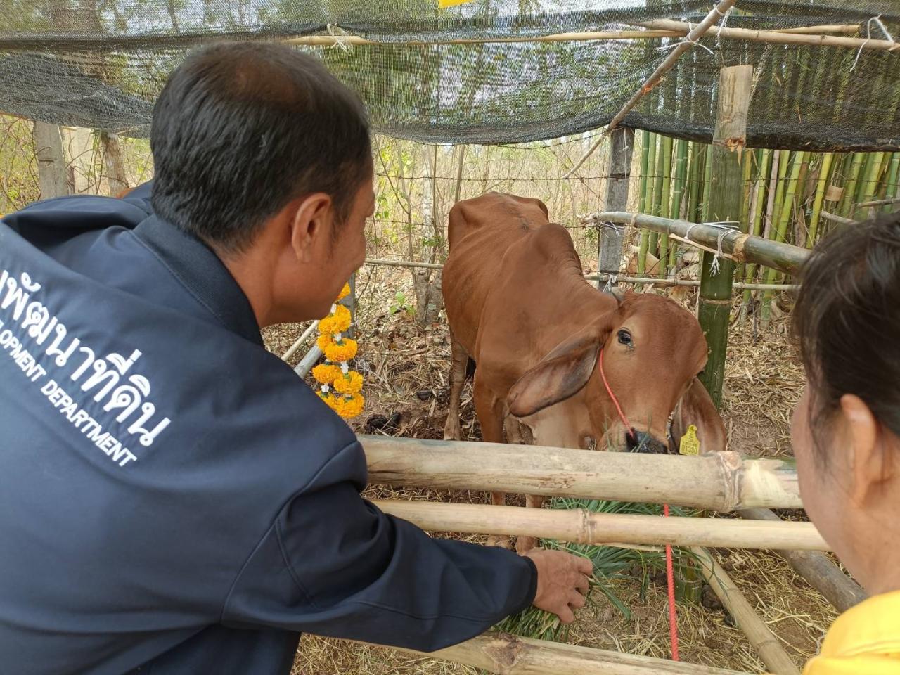 ภาพประกอบที่ 0