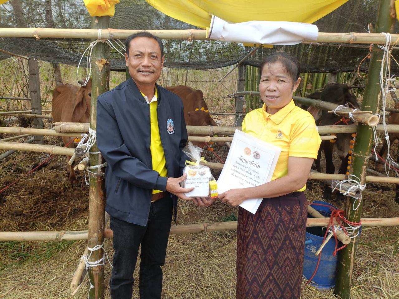 ภาพประกอบที่ 1