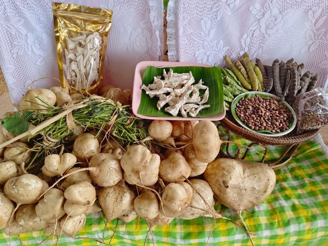 ภาพประกอบที่ 1