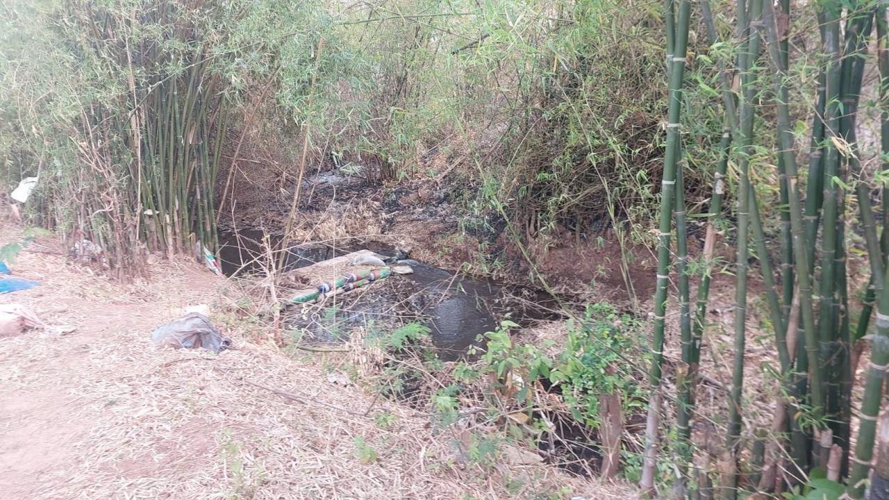 ภาพประกอบที่ 8