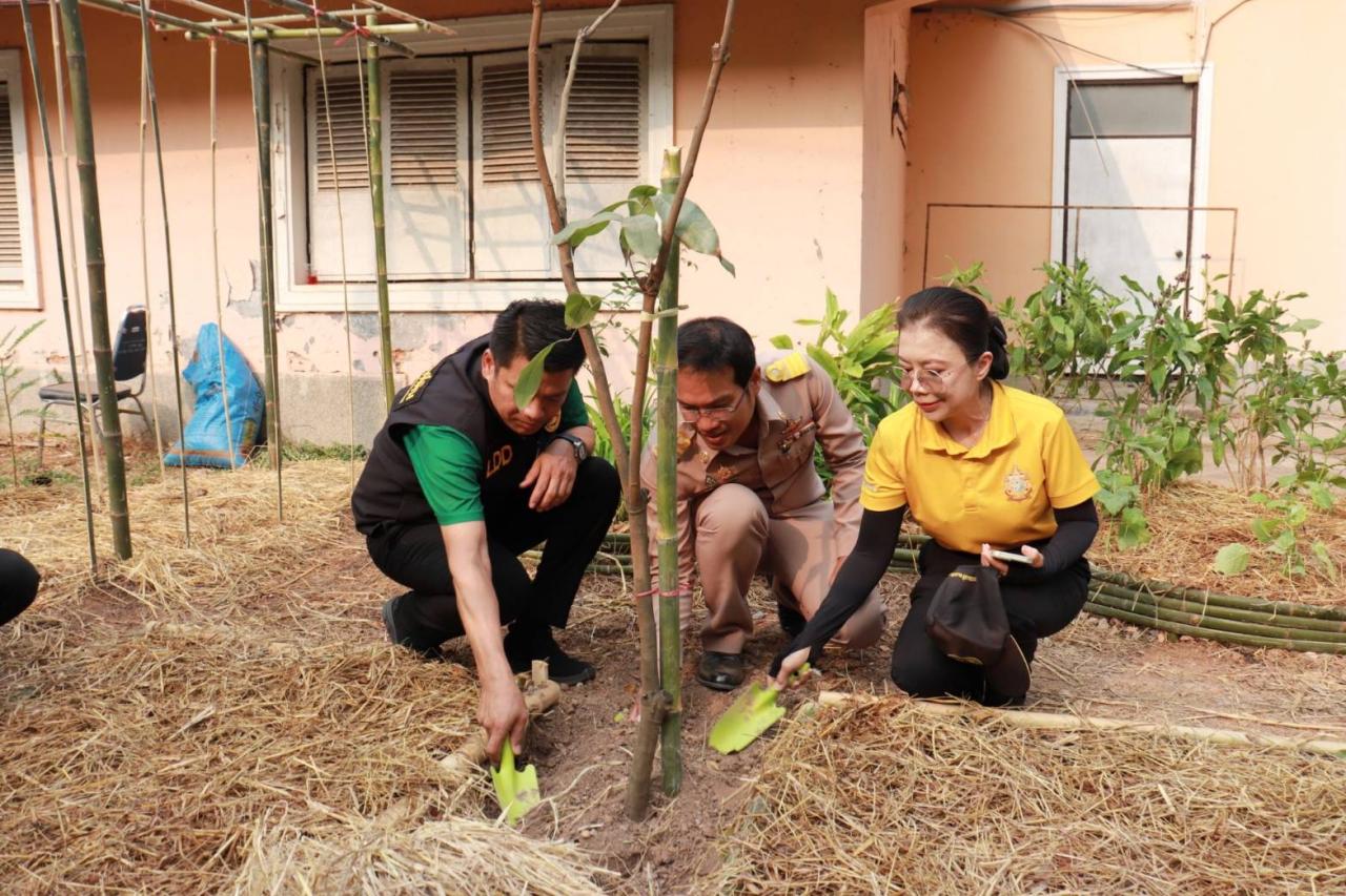 ภาพประกอบที่ 7