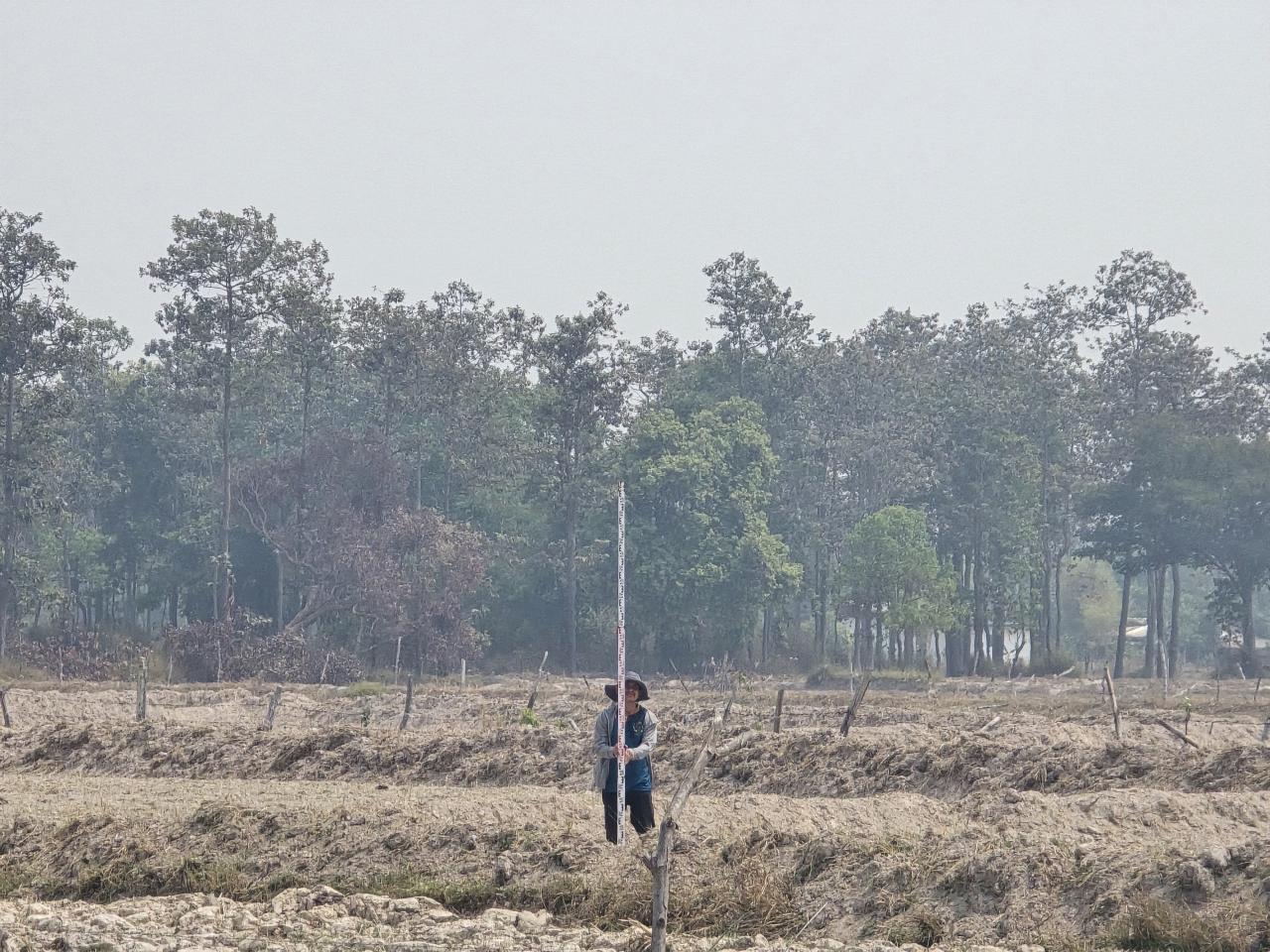ภาพประกอบที่ 1