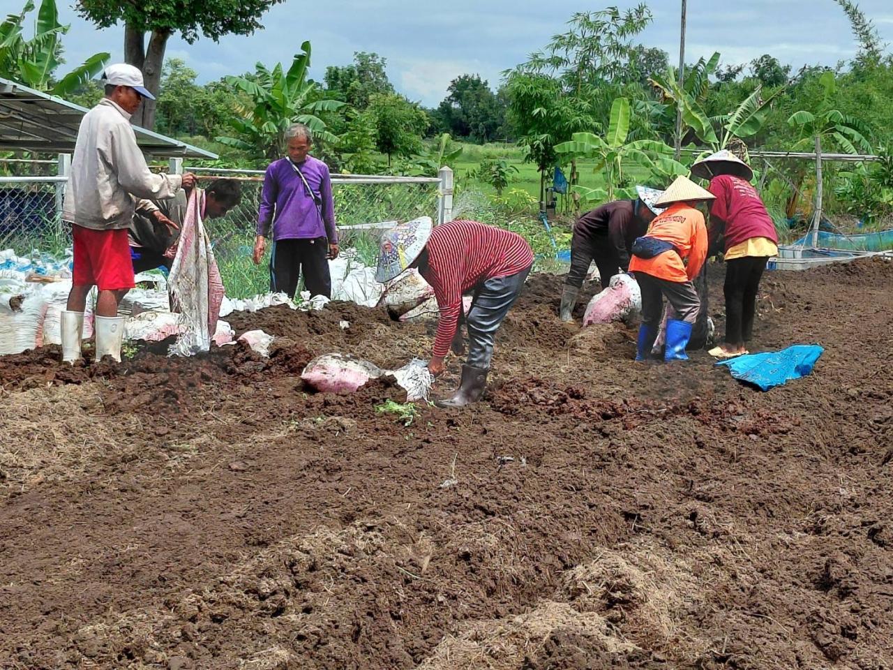 ภาพประกอบที่ 0