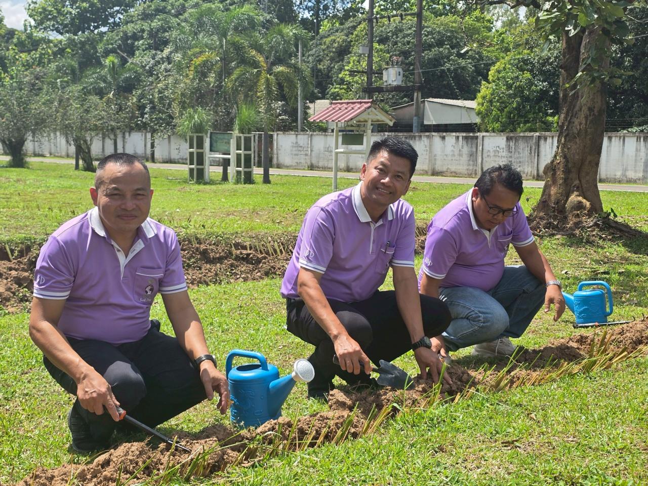 ภาพประกอบที่ 3