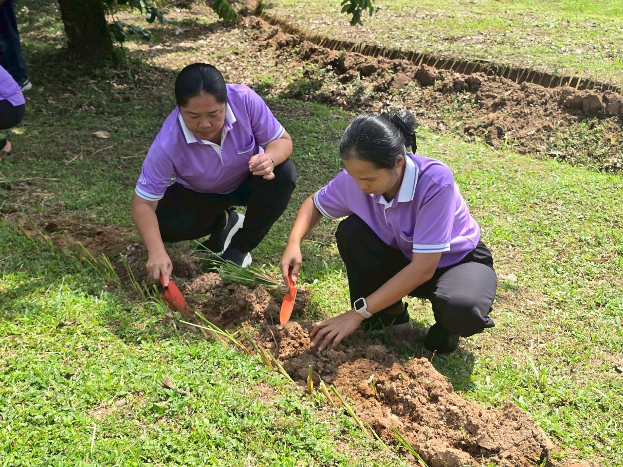 ภาพประกอบที่ 4