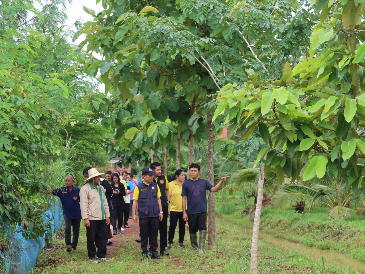 ภาพประกอบที่ 3