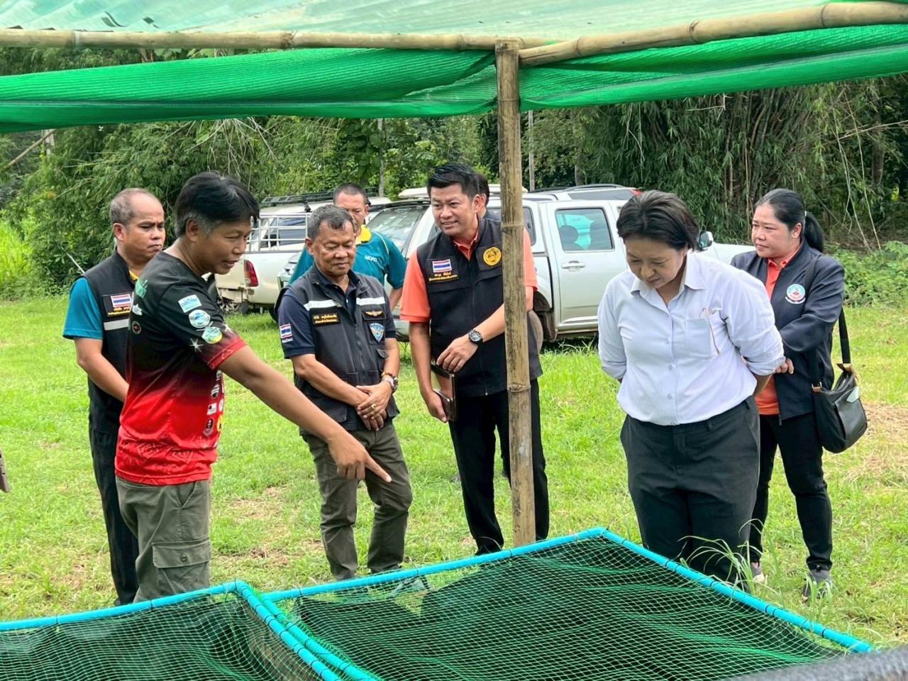 ภาพประกอบที่ 3