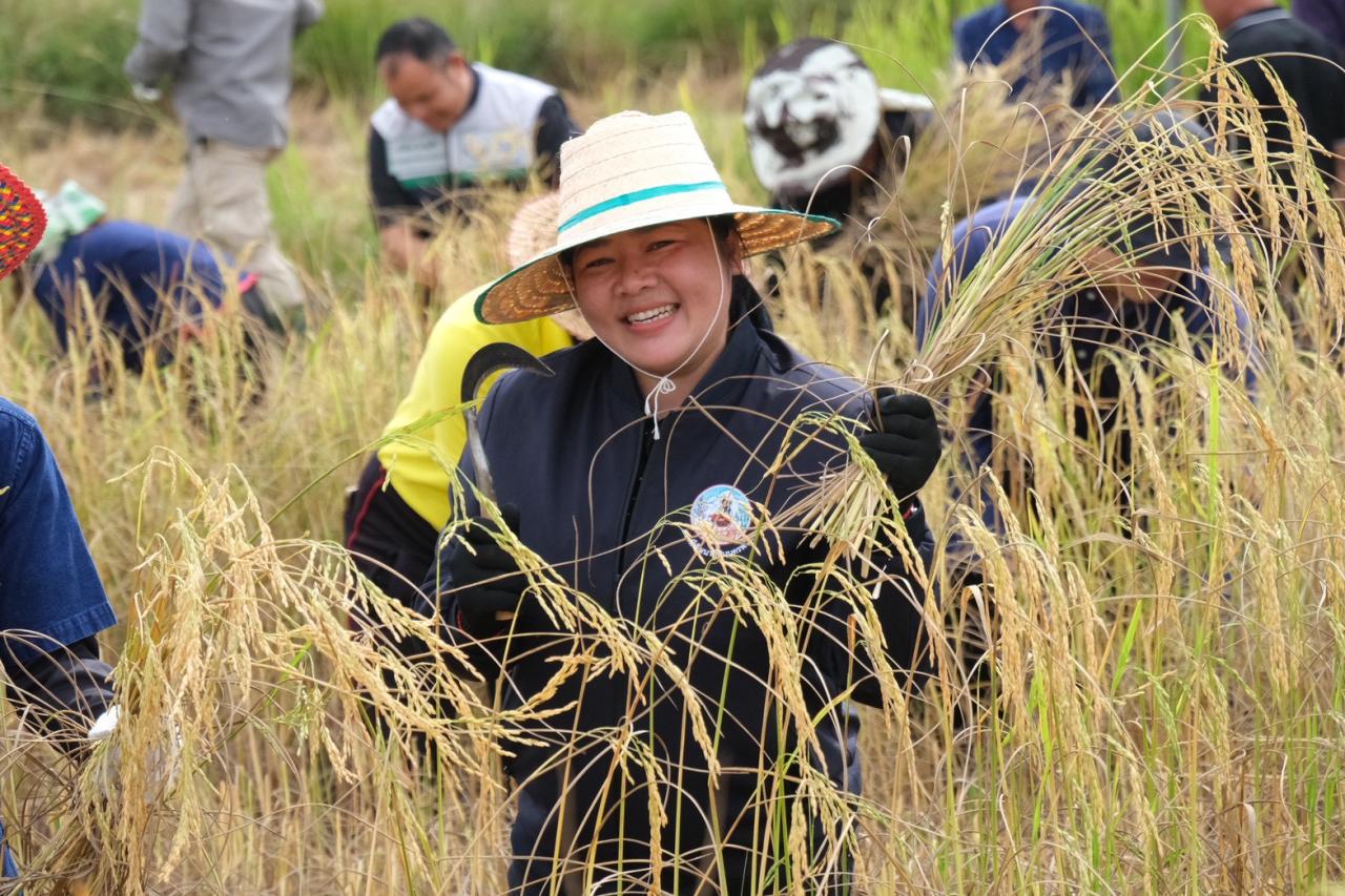 ภาพประกอบที่ 1